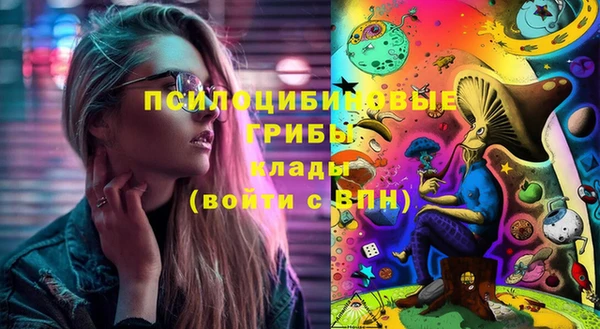 хмурый Горняк