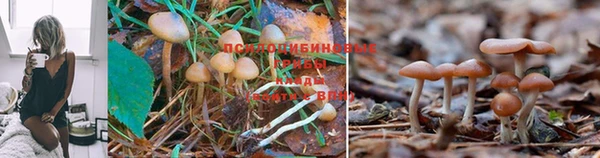 мефедрон Горнозаводск