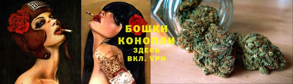 прущие крисы Гусь-Хрустальный