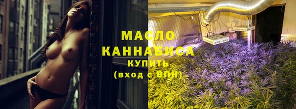 гидра Горно-Алтайск