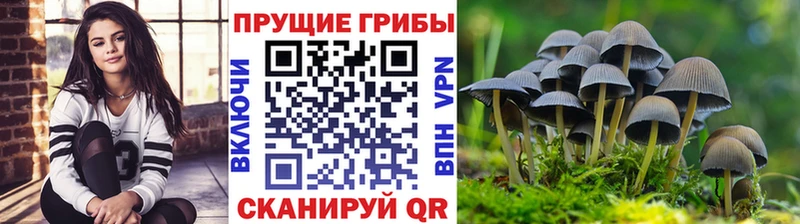 Галлюциногенные грибы прущие грибы  Гусиноозёрск 